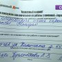 Ворота и Калитка с рисунком в Рогачёве 6