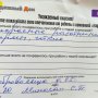 Ворота и калитка в Жлобинском районе д. Добровольща 4
