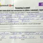 Откатные Ворота в Жлобинском районе д. Зелёная Долина 3